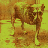 Alice In Chains - Alice In Chains (Explicit)