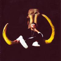 Eslam Jawaad - The Mammoth Tusk