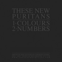 These New Puritans - Colours/Numbers