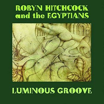 Robyn Hitchcock - Luminous Groove