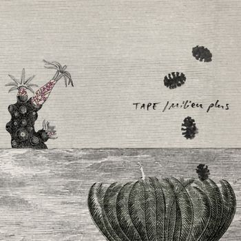 Tape - Milieu Plus