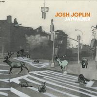 Josh Joplin - Jaywalker