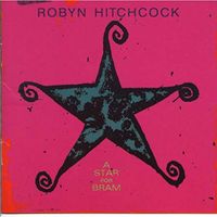 Robyn Hitchcock - A Star For Bram