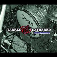 Dogs - Tarred And Feathered (Tiscali Live session)