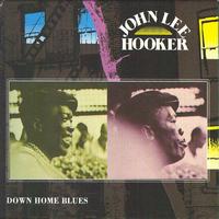 John Lee Hooker - Down Home Blues