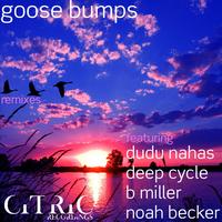 Noah Becker - Goose Bumps Remixes