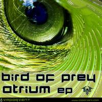 Bird of Prey - Atrium