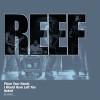 Reef - The Collections