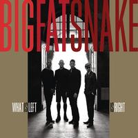 Big Fat Snake - What Is Left Is Right