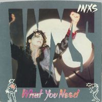 INXS - What You Need / Sweet as Sin