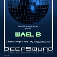 Wael B - DeepSound Academy Volume 2