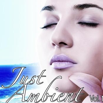 Various Artists - Just Ambient Vol.1