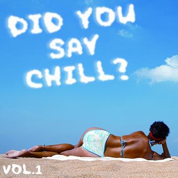 Various - Did You Say Chill? Vol.1