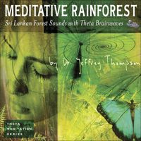 Dr. Jeffrey Thompson - Meditative Rainforest