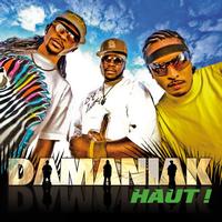 Damaniak - Haut Remix