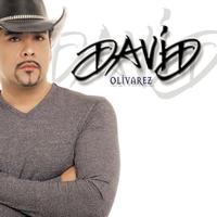 David Olivarez - David Olivarez