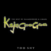 Kajagoogoo And Limahl - Too Shy: The Best Of Kajagoogoo & Limahl