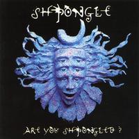 Shpongle - Divine Moments of Truth