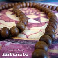 Timonkey - Infinite