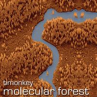 Timonkey - Molecular Forest