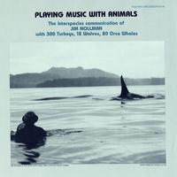 Jim Nollman - Playing Music with Animals: Interspecies Communication of Jim Nollman with 300 Turkeys, 12 Wolves and 20 Orcas