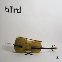 Bird - Some Boys EP