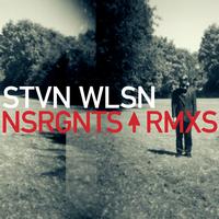 Steven Wilson - NSRGNTS RMXS