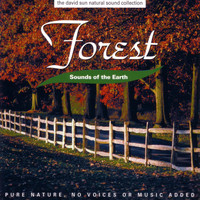 David Sun Productions - Forest
