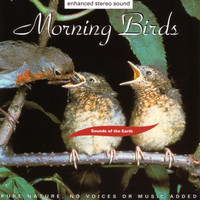 Sounds Of The Earth - Morning Birds