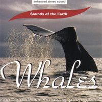 Sounds Of The Earth - Whales