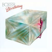 Boxer - Bloodletting