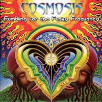 Cosmosis - Fumbling For The Funky Frequency