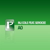MJ Cole - AO