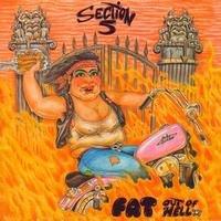 Section 5 - Fat Out Of Hell
