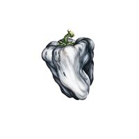 Ween - White Pepper (Explicit)