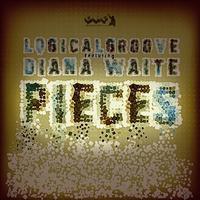 Logicalgroove Feat. Diana Waite - Pieces