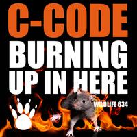 C-Code - Burning Up In Here