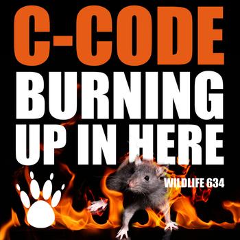 C-Code - Burning Up In Here