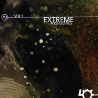 Various - Extreme Possibilities