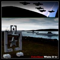 Fake Moss - White And TV