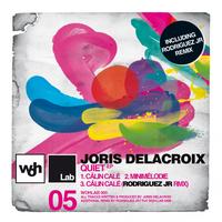 Joris Delacroix - Quiet