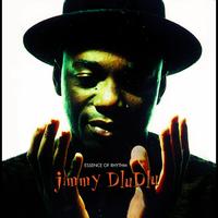 Jimmy Dludlu - Essence of Rhythm