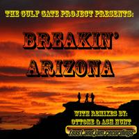 The Gulf Gate Project - Breakin' Arizona