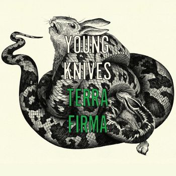 The Young Knives - Terra Firma (1 track DMD - iTUNES})