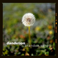 Brandon Schott - Dandelion