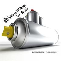 Vibe Tribe Vs. Spade - Supernatual - The Remixes