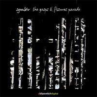 Symbio - The Gasps and Fissures Parade