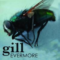 Gill - Evermore