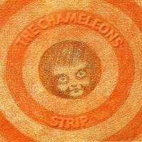 The Chameleons - Strip