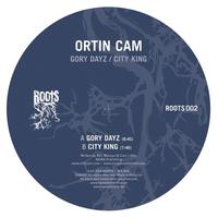 Ortin Cam - Gory Dayz / City King